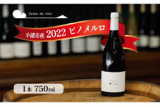 ワイン　2022 ピノメルロ 750ml 赤ワイン お酒 酒 アルコール 長野県 小諸市 小諸 ギフト プレゼント[№5915-1524]