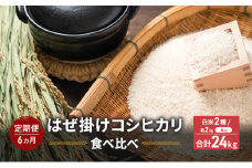 米 【6ヵ月定期便】　はぜ掛けコシヒカリ 食べ比べ 特A地区小諸市御牧ヶ原産コシヒカリ・A地区小諸市産コシヒカリ 【白米／各2kg】  こしひかり 精米 コメ お米 ごはん ご飯 信州 長野県 小諸市 [№5915-1493]
