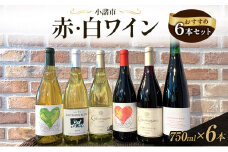 信州小諸産 赤・白ワイン おすすめ6本セット　小諸市ワイン 飲み比べ お酒 ミネラル感 果実味 酸 甘い香り 柔らかなタンニン フレッシュ 家飲み 晩酌[№5915-1579]