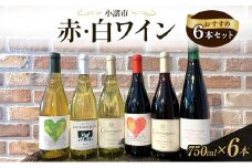 信州小諸産 赤・白ワイン おすすめ6本セット　小諸市ワイン 飲み比べ お酒 ミネラル感 果実味 酸 甘い香り 柔らかなタンニン フレッシュ 家飲み 晩酌[№5915-1579]