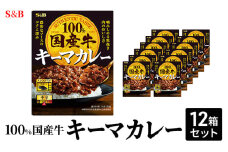 S&B 国産牛100% キーマカレー　12箱セット[№5915-1514]