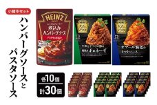 「ハインツ」ハンバーグソースとパスタソース　小諸市セット　各10個ずつ　計30個[№5915-1623]