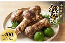 小諸市収穫 松茸 約400g（約3～5本） 野菜 きのこ まつたけ マツタケ 山菜 国産[№5915-1633]