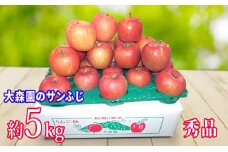 大森園のサンふじ　秀品　約5kg [№5915-0356]