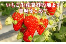 小諸産いちご4パック詰め合わせ [№5915-0355]