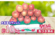 大森園のサンふじ　（色つきが薄い青秀品）　約10kg [№5915-0357]