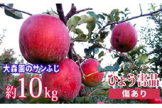 大森園のサンふじ【ひょう害品】　約10kg [№5915-0358]