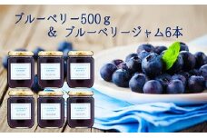 ブルーベリー500g&ブルーベリージャム6本セット [№5915-0393]