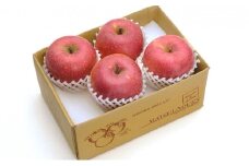 秋映　約2kg [№5915-0434]