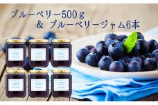 ブルーベリー500g＆ブルーベリージャム6本セット [№5915-0537]