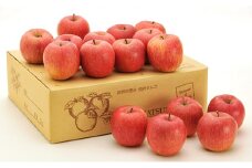 信州小諸　松井農園のサンふじ　約5kg [№5915-0595]