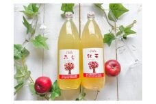 林檎を食べるつもりで飲むジュース2本セット（品種おまかせ2種） [№5915-0722]