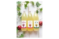 林檎を食べるつもりで飲むジュース3本セット（品種おまかせ3種） [№5915-0723]