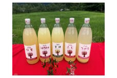 林檎を食べるつもりで飲むジュース5本セット（品種おまかせ5種） [№5915-0725]