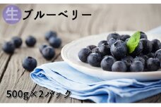 信州小諸産 【生】ブルーベリー500g×2パック [№5915-0744]