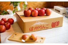 【訳あり】信州サンふじ約5kg [№5915-0786]