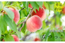 浅間水蜜桃 みつおかのもも なつっこ  秀品 約5kg 長野県産 [№5915-0978]