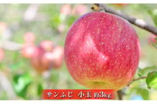 松澤農園　信州サンふじ小玉約3kg [№5915-1036]