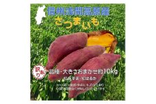 さつまいも 約10kg 食べ比べ [№5915-1039]