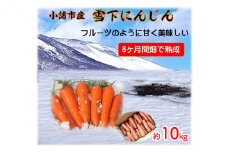 小諸産 雪下にんじん（土つき）約10kg [№5915-1101]