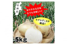 小諸産減農薬栽培・玉ねぎ約5kg[№5915-1324]