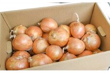 小諸産減農薬栽培・玉ねぎ約10kg[№5915-1325]