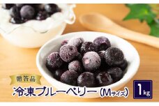 ブルーベリー【冷凍ブルーベリー（Mサイズ）１kg　贈答品】冷凍 完熟 果物 トッピング ヨーグルト 信州 長野[№5915-1344]