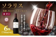 日本ワイン ソラリス 小諸 メルロー ワインセット 750ml×6本 赤ワイン マンズワイン 酒 お酒 洋酒 果実酒 ぶどう酒 長野 長野県 小諸市[№5915-1637]