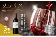 ソラリス 東山メルロー ワインセット 750ml×3本 赤ワイン お酒 ぶどう酒 晩酌 おうちディナー 飲み物 家飲み 宅飲み 果実香 複雑 おだやかな酸味 タンニン[№5915-1639]