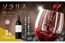 ソラリス 東山カベルネ・ソーヴィニヨン ワインセット 750ml×3本 赤ワイン お酒 ぶどう酒 晩酌 おうちディナー 飲み物 家飲み 宅飲み スパイス ロースト香 果実味 酸味 タンニン[№5915-1640]