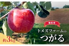 つがる（贈答用） 約3kg（8玉〜12玉入り）トメズファーム　りんご　長野　信州　小諸　果物　フルーツ [№5915-1654]