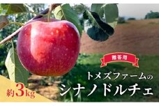 シナノドルチェ（贈答用） 約3kg（8玉〜12玉入り）トメズファーム　りんご　長野　信州　小諸　果物　フルーツ [№5915-1655]
