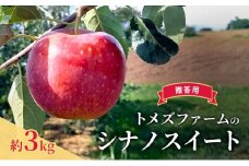 シナノスイート（贈答用） 約3kg（8玉〜12玉入り）トメズファーム　りんご　長野　信州　小諸　果物　フルーツ [№5915-1656]