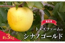 シナノゴールド（贈答用） 約3kg（8玉〜12玉入り）トメズファーム　りんご　長野　果物　フルーツ [№5915-1657]