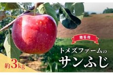 サンふじ（贈答用） 約3kg（8玉〜12玉入り）トメズファーム　りんご　長野　信州　小諸　果物　フルーツ [№5915-1658]