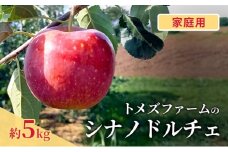 シナノドルチェ（家庭用） 約5kg（15～20玉入り）トメズファーム　りんご　長野　信州　小諸　果物　フルーツ [№5915-1660]