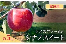 シナノスイート（家庭用） 約5kg（15～20玉入り）トメズファーム　りんご　長野　信州　小諸　果物　フルーツ [№5915-1661]