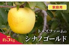 シナノゴールド（家庭用） 約5kg（15～20玉入り）トメズファーム　りんご　長野　信州　小諸　果物　フルーツ [№5915-1662]