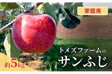 サンふじ（家庭用） 約5kg（15～20玉入り）トメズファーム　りんご　長野　信州　小諸　果物　フルーツ [№5915-1663]