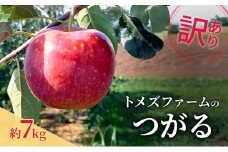 つがる（訳あり） 約7kg　トメズファーム　りんご　長野　信州　小諸　果物　フルーツ [№5915-1664]
