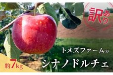 シナノドルチェ（訳あり） 約7kg　トメズファーム　りんご　長野　信州　小諸　果物　フルーツ [№5915-1665]