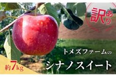 シナノスイート（訳あり ） 約7kg　トメズファーム　りんご　長野　信州　小諸　果物　フルーツ [№5915-1666]