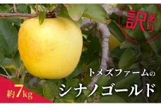 シナノゴールド（訳あり） 約7kg　トメズファーム　りんご　長野　信州　小諸　果物　フルーツ [№5915-1667]