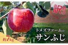 サンふじ（訳あり） 約7kg　トメズファーム　りんご　長野　信州　小諸　果物　フルーツ [№5915-1668]