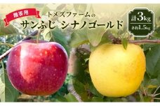 サンふじ・シナノゴールド詰合せ（贈答用） 各約1.5kg 計3kg　トメズファーム　りんご　長野　信州　小諸　果物　フルーツ　食べ比べ [№5915-1669]