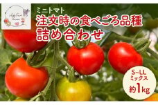 ミニトマト 約1kg 注文時の食べごろ品種詰め合わせ アイビーファーム 長野 信州 小諸 産地直送[№5915-1646]