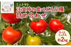 ミニトマト 約2kg 注文時の食べごろ品種詰め合わせ アイビーファーム 長野 信州 小諸 産地直送[№5915-1647]