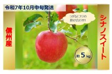 【012-16】令和7年10月中旬発送　シナノスイート　5キロ　信州が生んだ最高においしいりんごです（りんご・リンゴ・林檎）