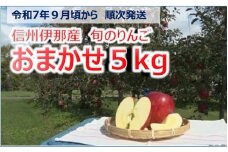 【012-04】令和7年9月ごろ～発送　信州の旬のりんごおまかせ5キロ（りんご・リンゴ・林檎）