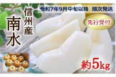 【018-17】令和7年9月中旬ごろより発送　本当に甘い信州が生んだ甘い梨！南水　約5キロ（なし・梨・ナシ・なんすい）